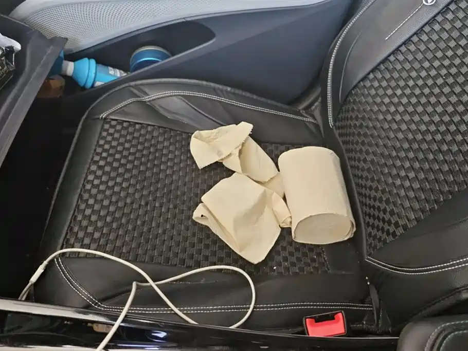 Buick Velite 6 2019 Connected Smart Edition фото 8