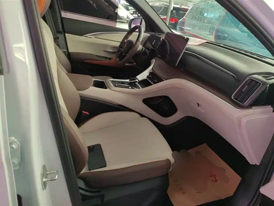 BYD Song Pro New Energy 2022 DM-i 51km Premium фото 8