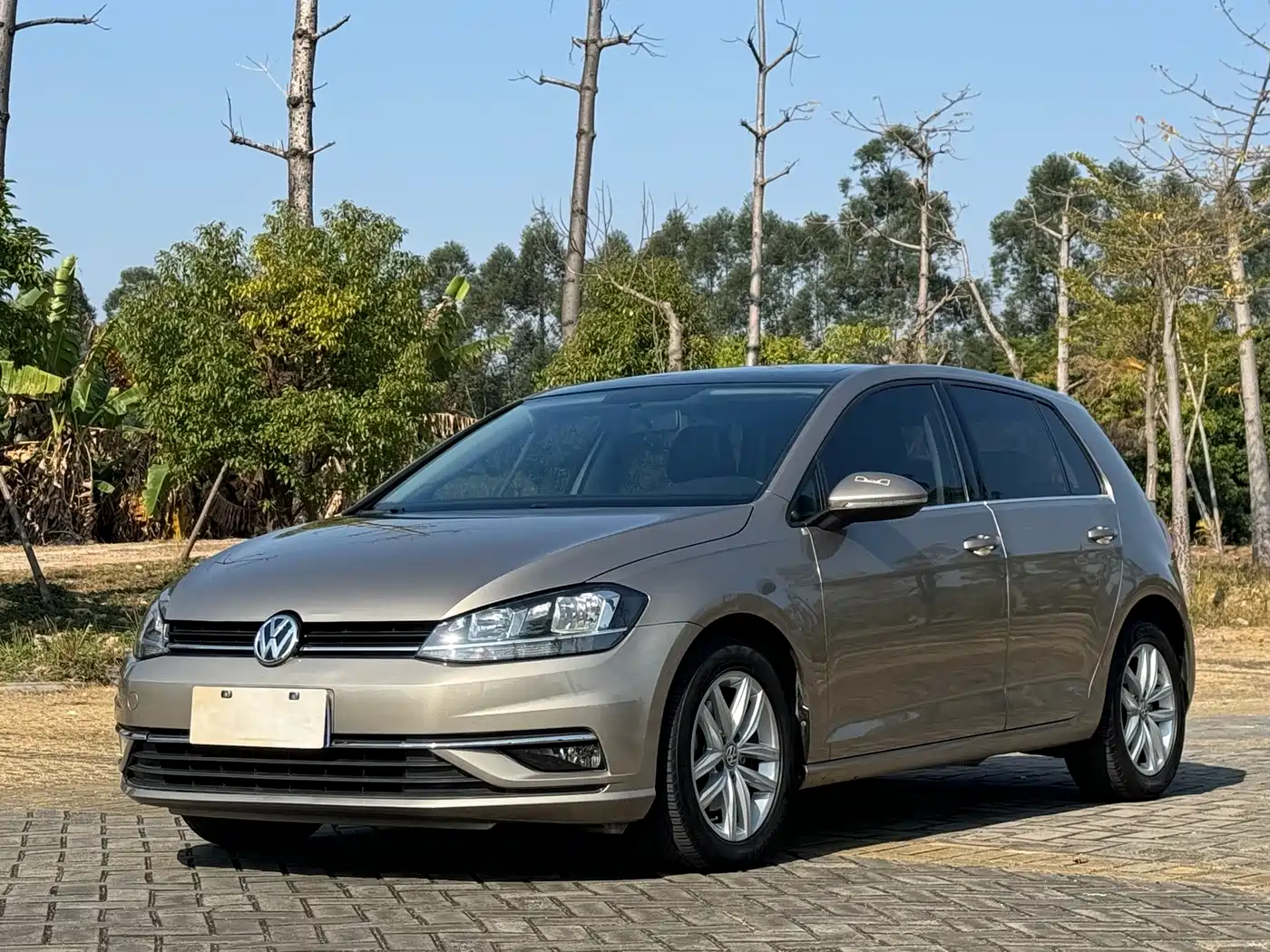 Volkswagen Golf 2018 230TSI Automatic Comfort