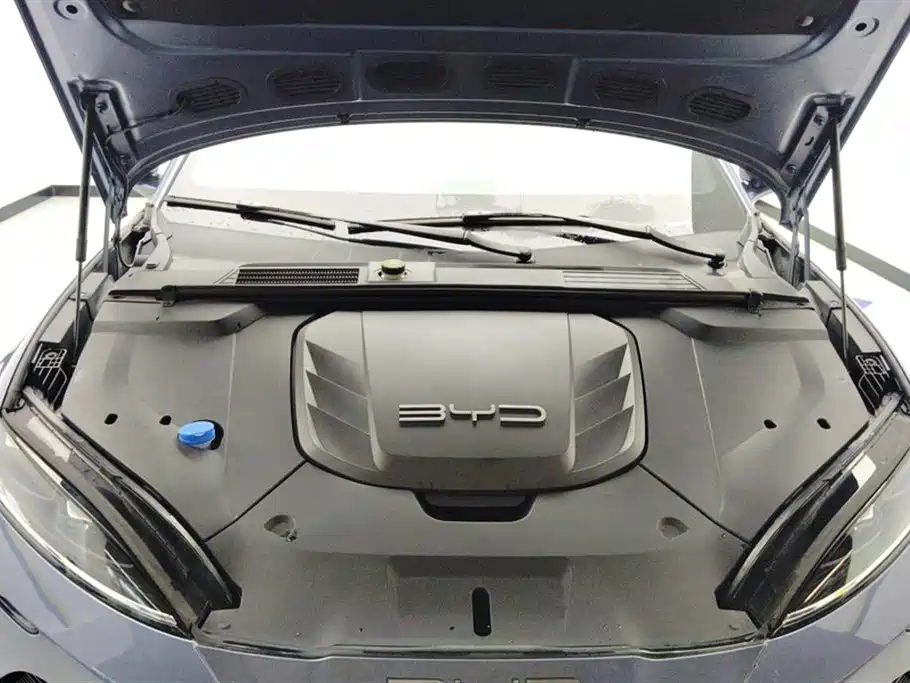 BYD Seal 2022 550km Standard Range RWD Premium фото 10