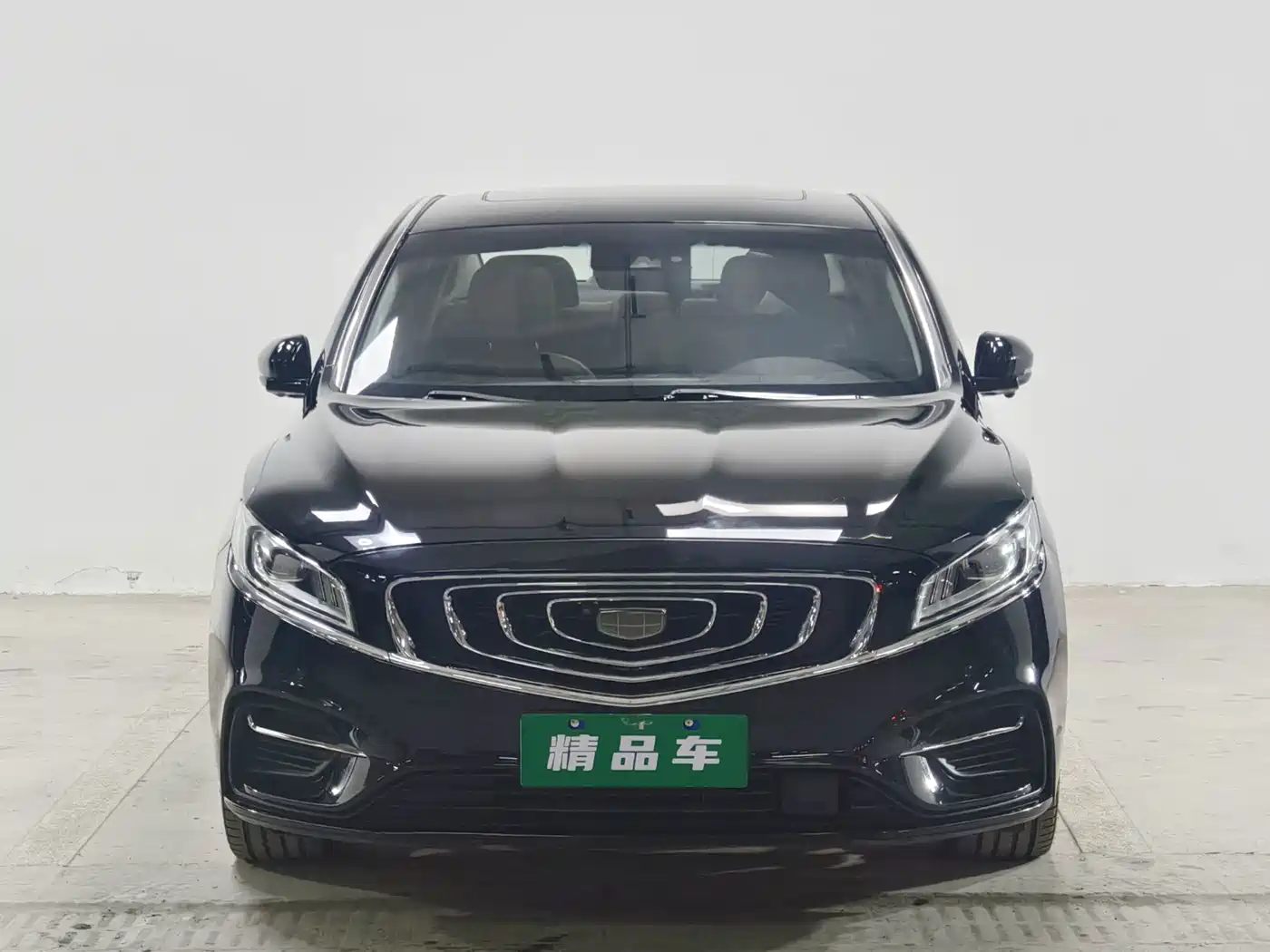 Фото 2 - Geely Borui