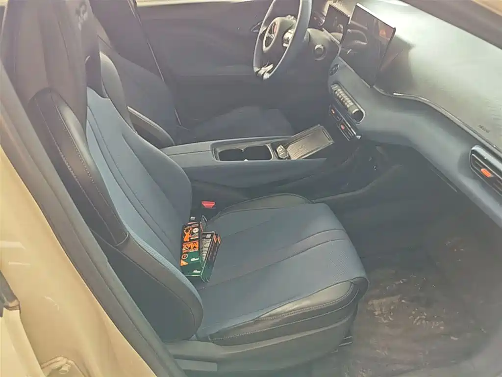 BYD Seagull 2023 Freedom Edition фото 20
