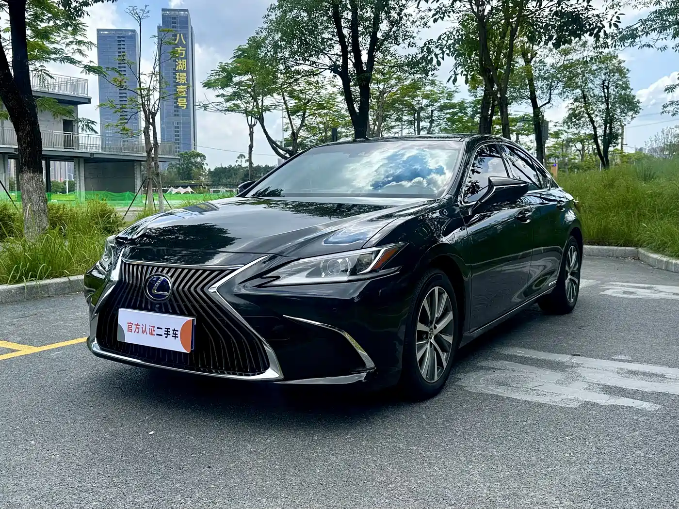 Lexus ES 2018 260 Excellence Edition China VI