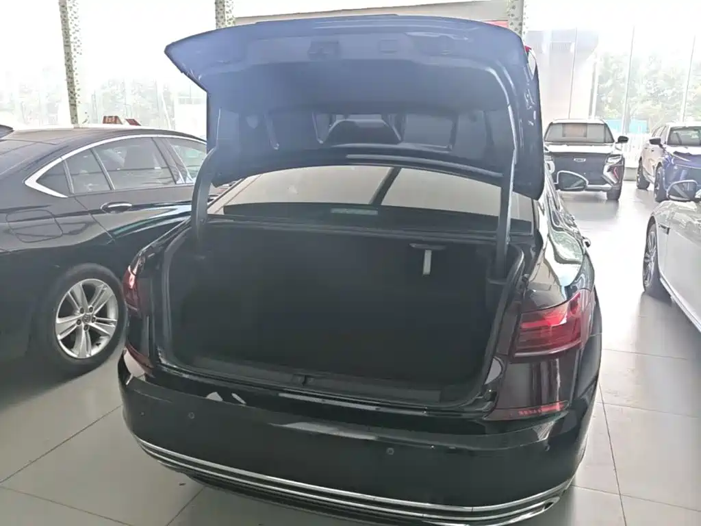 Фото 18 - Volkswagen Passat