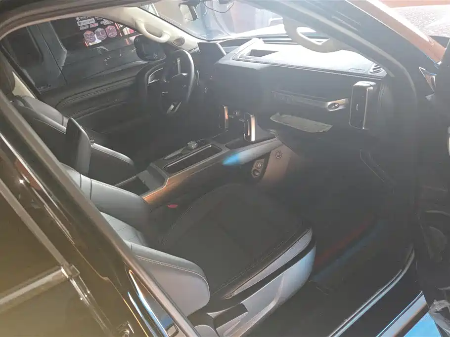 Haval Big Dog 2024 2.0T DCT Chinese Rural Dog Edition фото 8