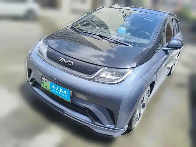 BYD Dolphin 2025 520km Knight Edition — фото 1
