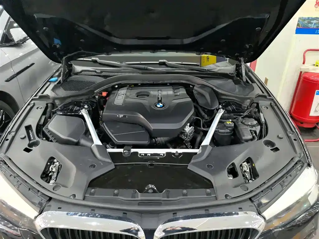 BMW 5 Series 2020 525Li M Sport Package фото 10