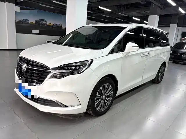 Buick GL8 ES Люкс, 653T, Люкс