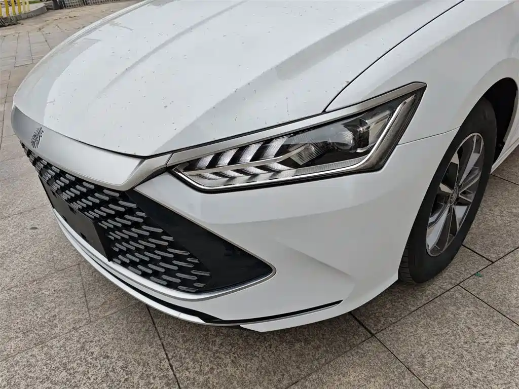 BYD Qin PLUS 2024 Glory Edition DM-i 55KM Leading фото 18