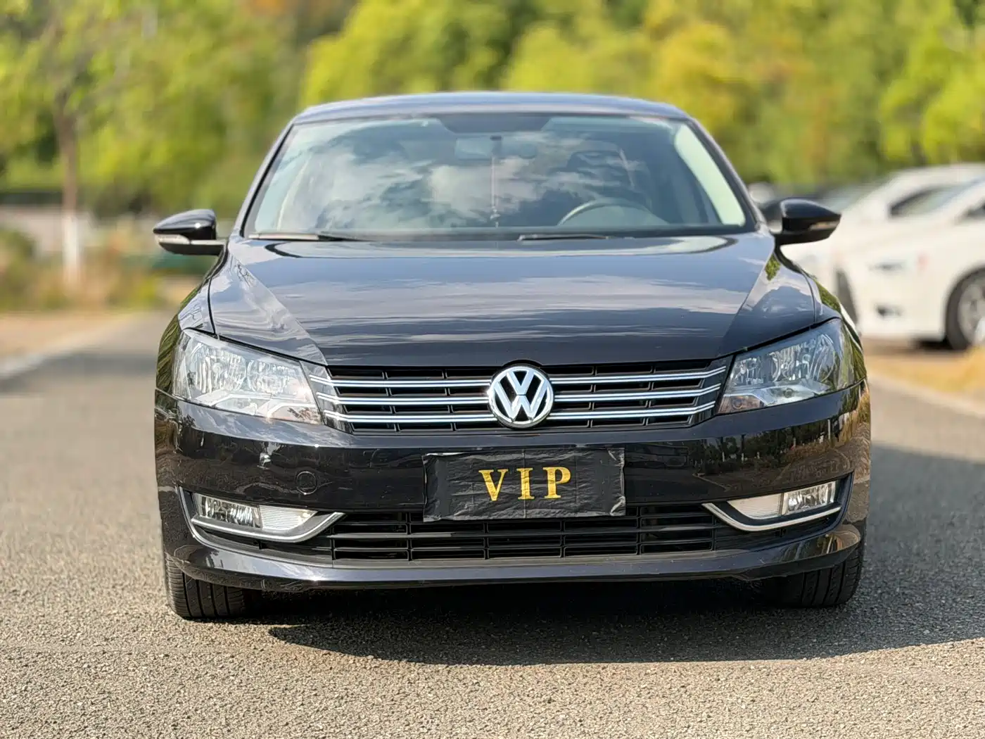 Volkswagen Passat 2013 1.8TSI DSG Zunrong фото 3