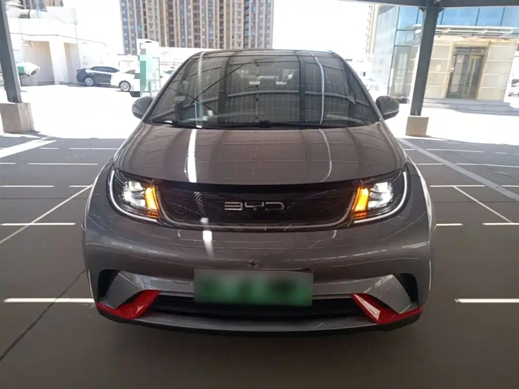 BYD Dolphin 2021 Model 405km Fashion Edition фото 3