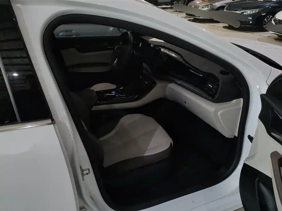BYD Qin PLUS 2023 Champion Edition DM-i 55KM Leading фото 8