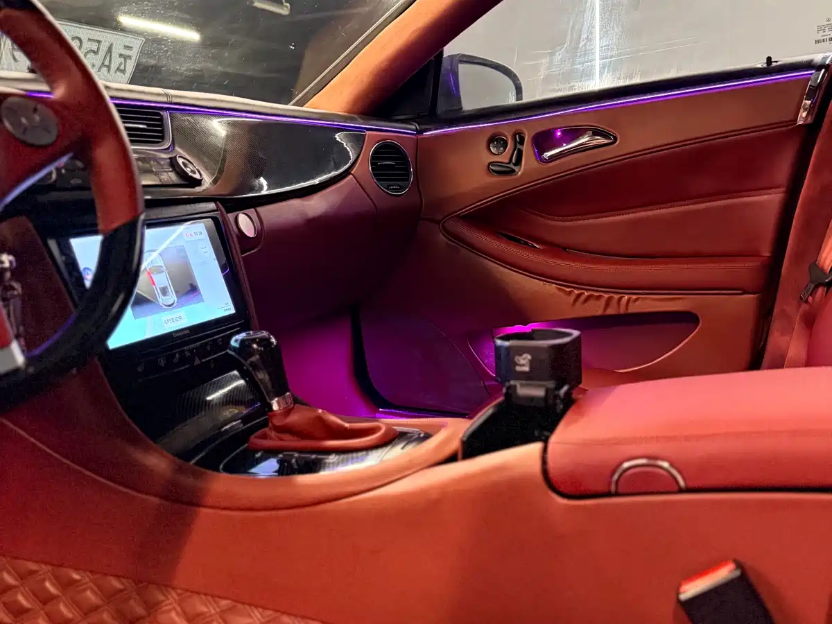 Mercedes-Benz CLS 2009 CLS 300 фото 11