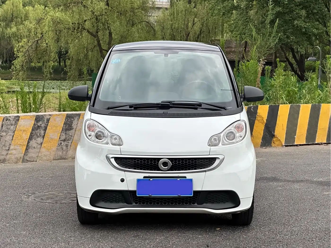 smart fortwo 2014 2014 1.0 MHD Hardtop New Year Special Edition