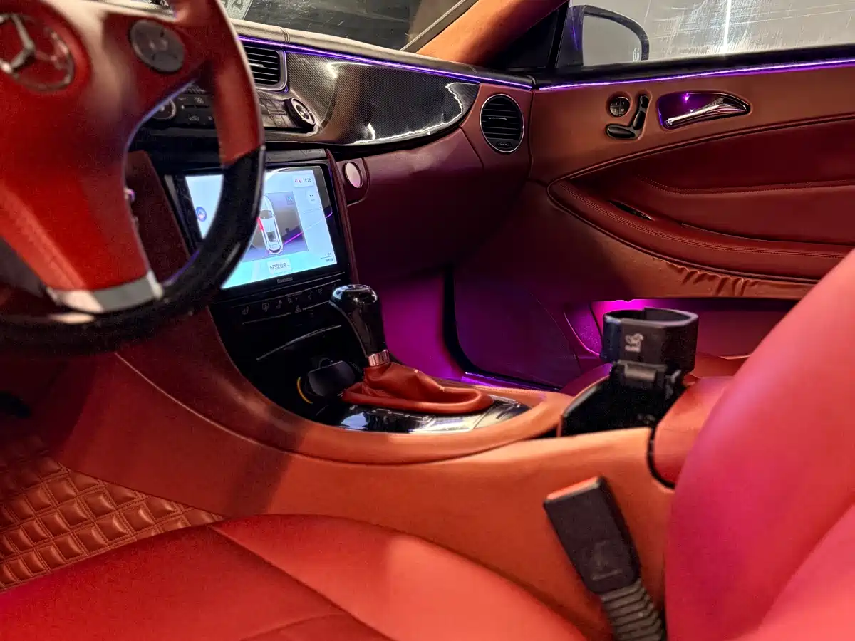 Mercedes-Benz CLS 2009 CLS 300 фото 13