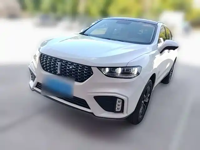  WEY Wey VV5 2020 1.5T 2WD Smart Pioneer