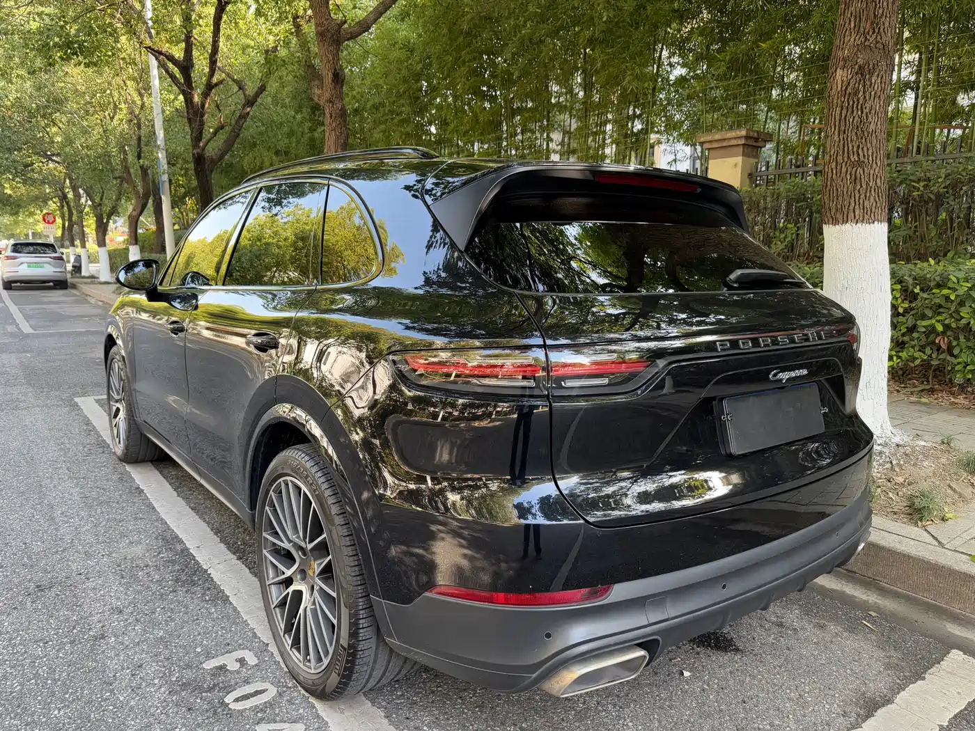 Porsche Cayenne 2019 Cayenne 3.0T фото 4