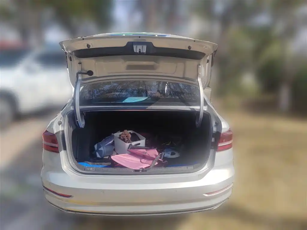 Volkswagen Lavida 2021 1.5L Auto Comfort Edition фото 10