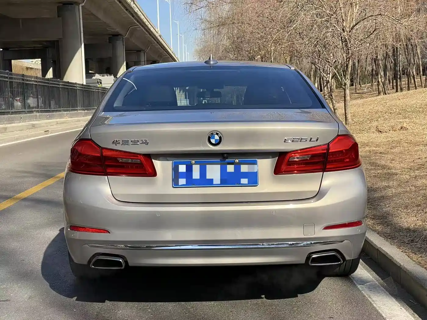 BMW 5 Series 2018 525Li Luxury Package фото 13