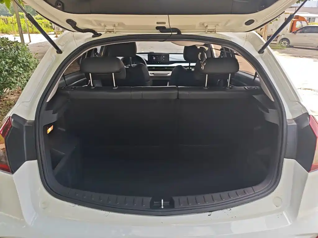 Geely Geometry EX3 Kung Fu Bull 2022 2021 Strong Bull