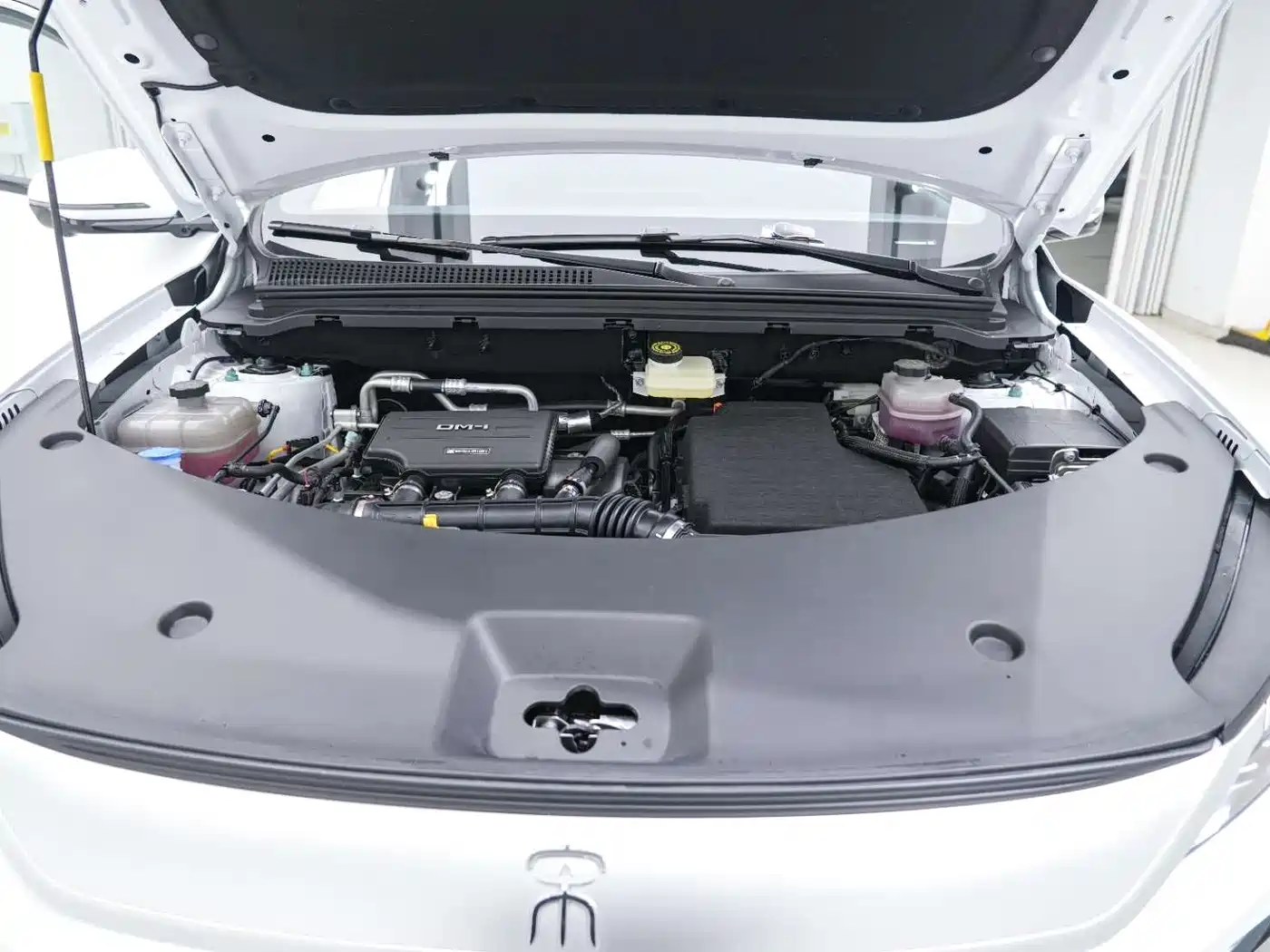 BYD SONGJIANG NEW ENERGY