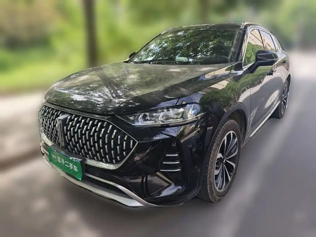 WEY Mocha 2021 2021 2.0T 2WD Premium Edition