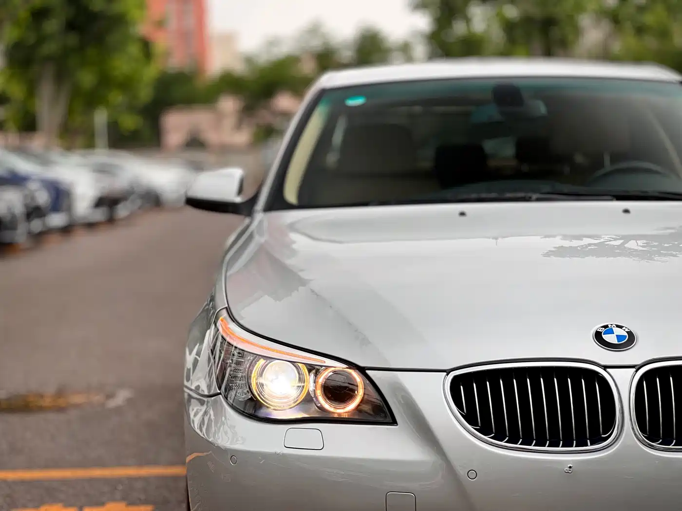 BMW 5 Series 2008 523Li Elegance фото 48