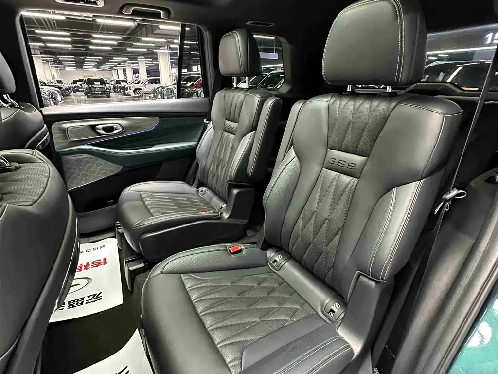 GAC Trumpchi Trumpchi GS8 2022 Pilot Series 2.0TGDI 2WD Premium Edition (6-Seater) фото 30