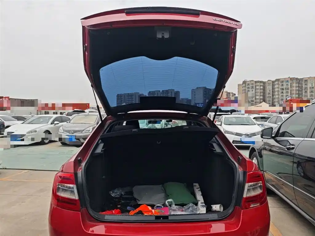 Škoda Octavia 2015 1.6L Automatic逸致版 фото 19