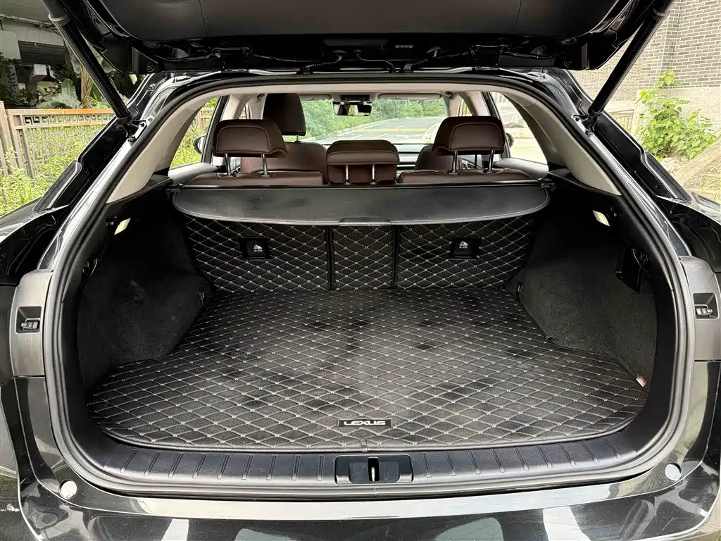 Lexus RX 2020 300 4WD Elegance Edition China VI фото 18