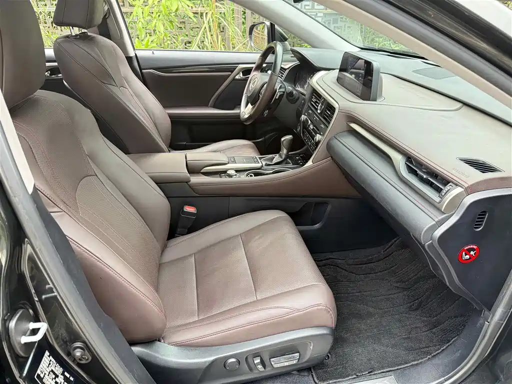 Lexus RX 2020 300 4WD Elegance Edition China VI фото 7