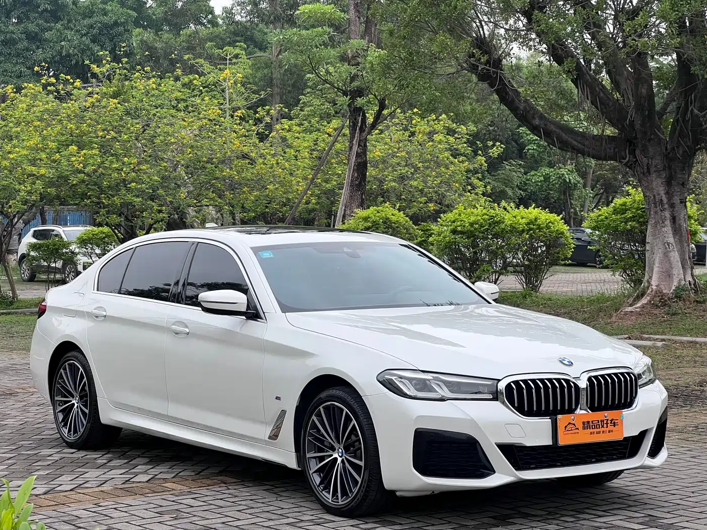 BMW 5 Series 2022 530Li Leading M Sport Package фото 3