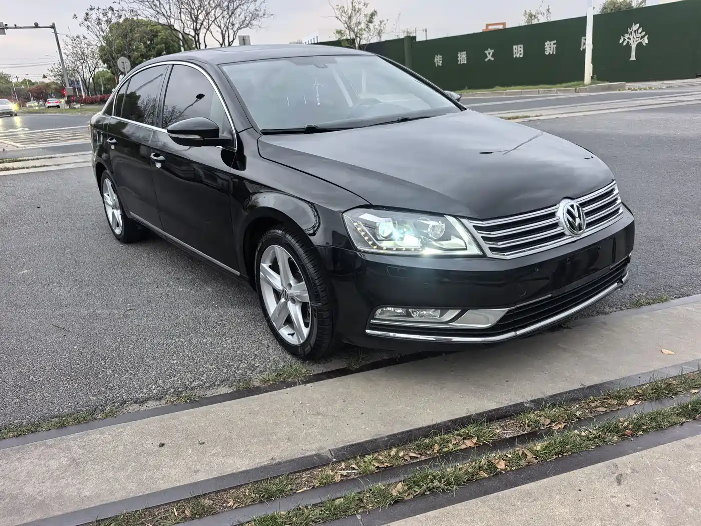 Volkswagen Magotan 2016 1.8TSI Smart Luxury фото 5