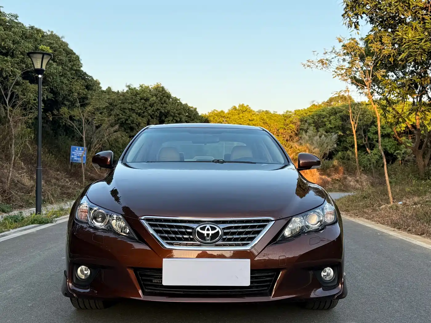 Toyota Reiz 2012 2.5V Grace Elite Styling Edition фото 2