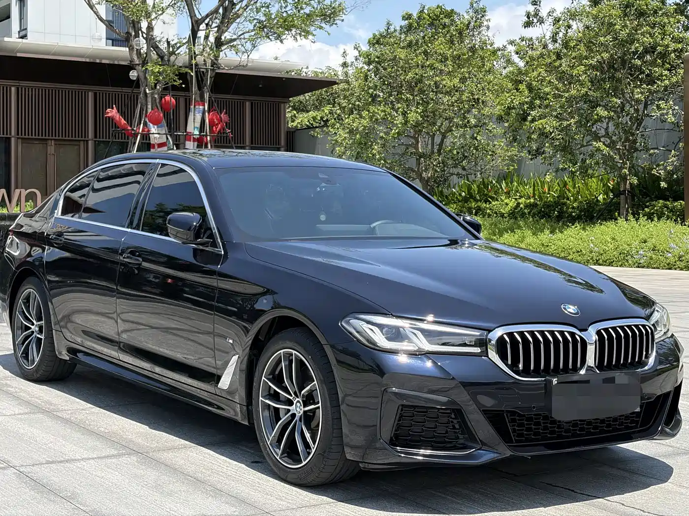 BMW 5 SERIES NEW ENERGY
