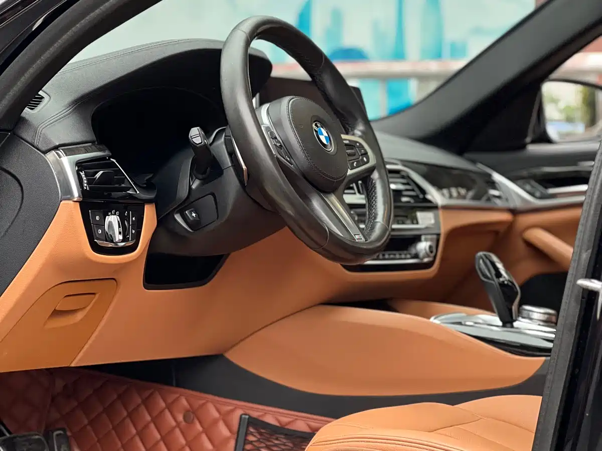 BMW 5 Series 2019 530Li xDrive M Sport Package фото 10