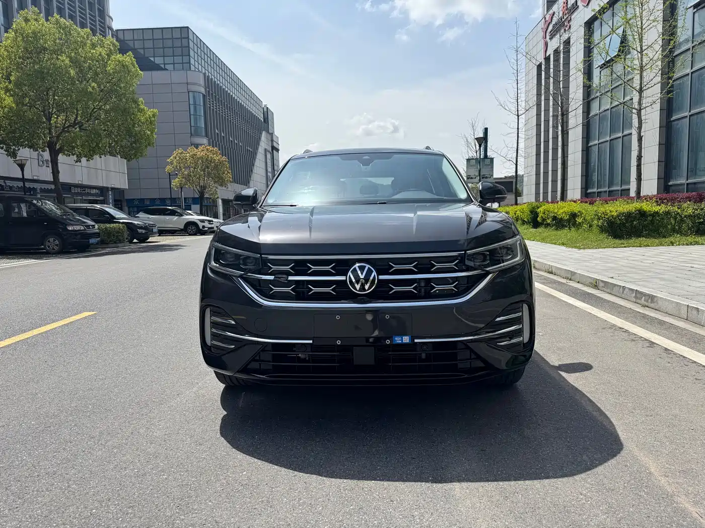 Volkswagen Tayron 2023 330TSI 2WD R-Line High-Performance Edition фото 3