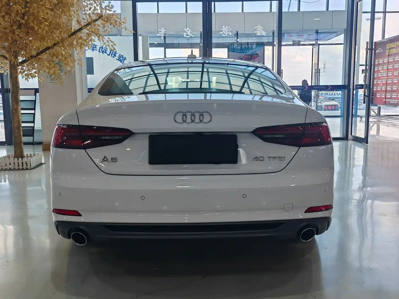 Audi A5 (Import) 2019 Sportback 40 TFSI Fashion фото 21