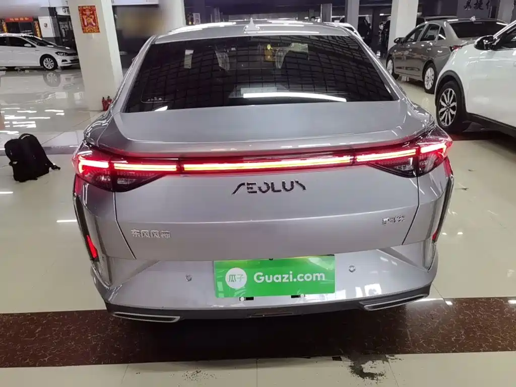 صورة 6 - Dongfeng Aeolus Yixuan