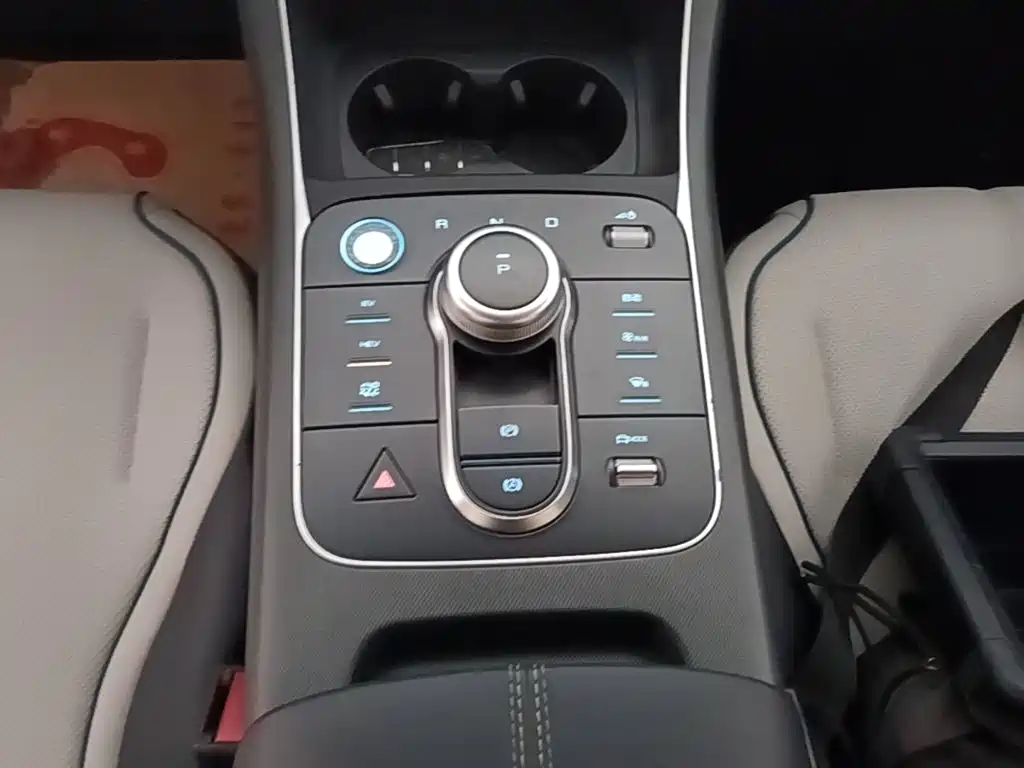 BYD Destroyer 05 2025 2024 Glory Edition DM-i 55KM Luxury
