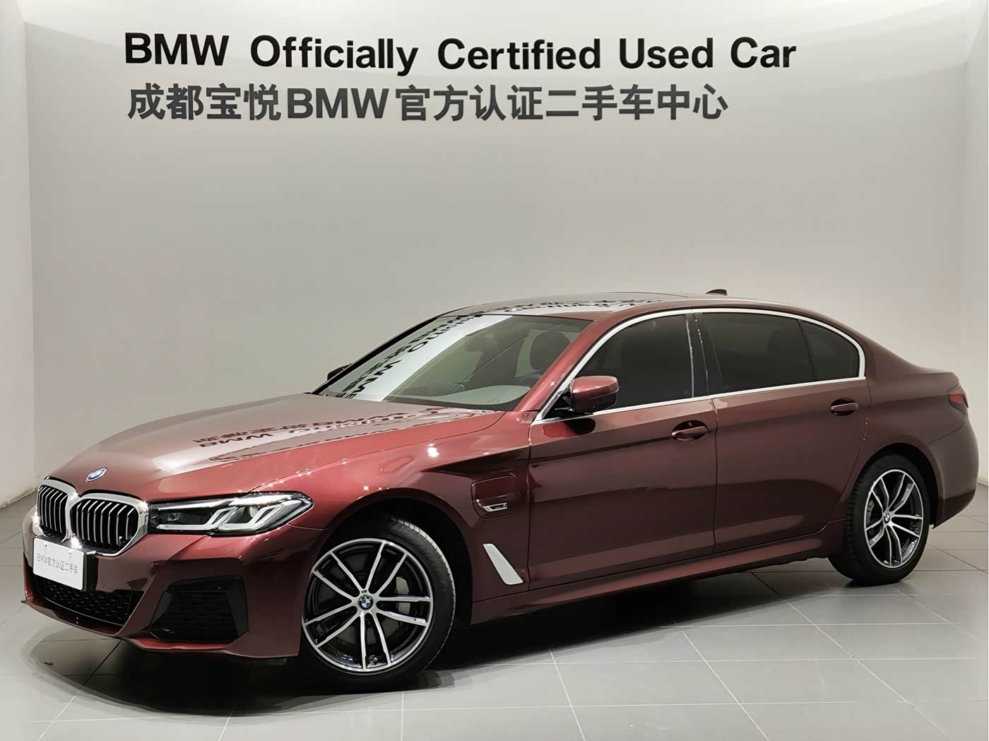 BMW 5 Series New Energy