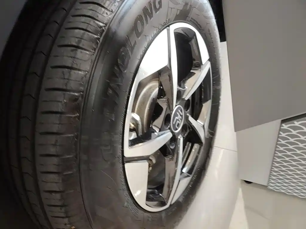 BYD Yuan UP 2024 2024 401KM Leading Edition