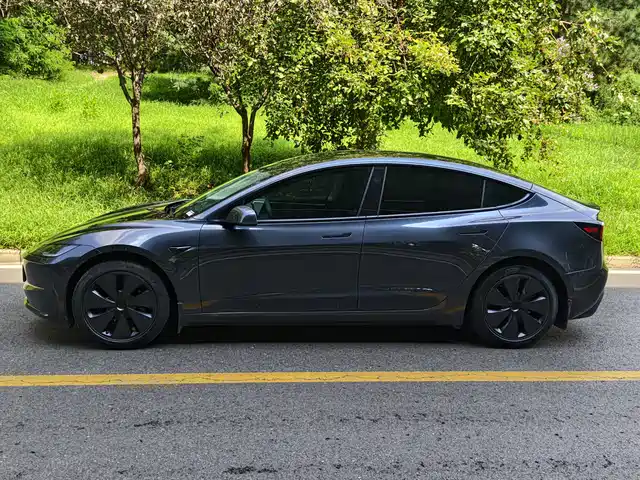 Tesla Model 3 2023 Rear-Wheel Drive — фото 3