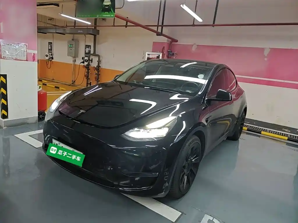 Tesla Model Y 2021 Standard Range Rear-Wheel Drive