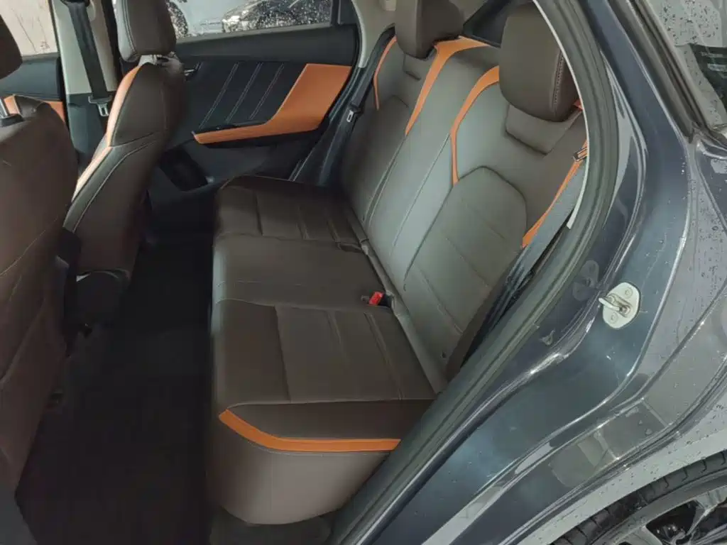 BYD e2 2021 2020 Upgraded Long Range Premium