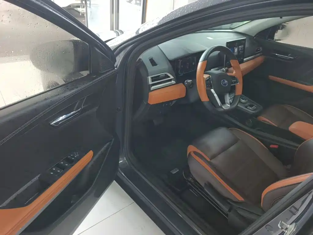 BYD e2 2021 2020 Upgraded Long Range Premium