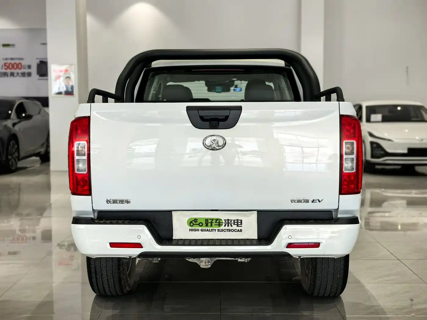 GREAT WALL CANNON EV