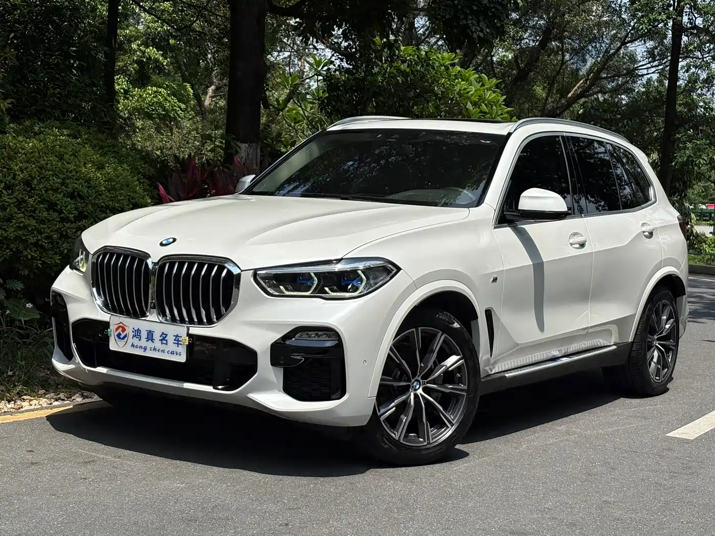 BMW X5 (Import) 2019 xDrive40i M Sport Package