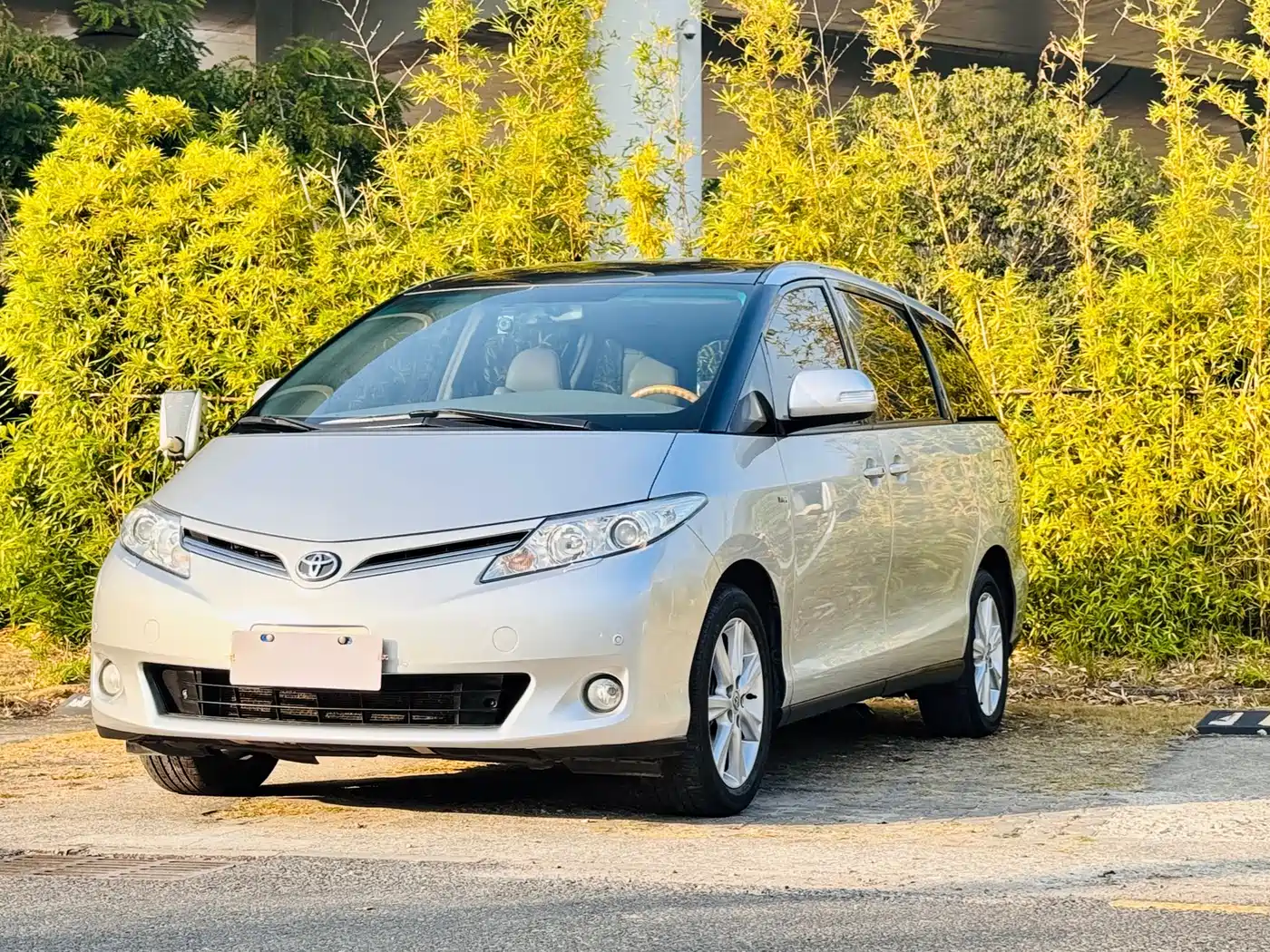Toyota Previa 2009