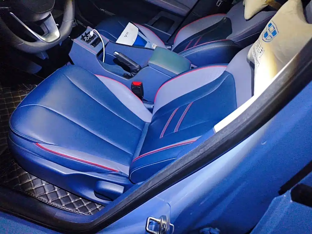 Geely Geometry E Firefly 2022 2022 320KM Well-behaved Tiger 4-seater